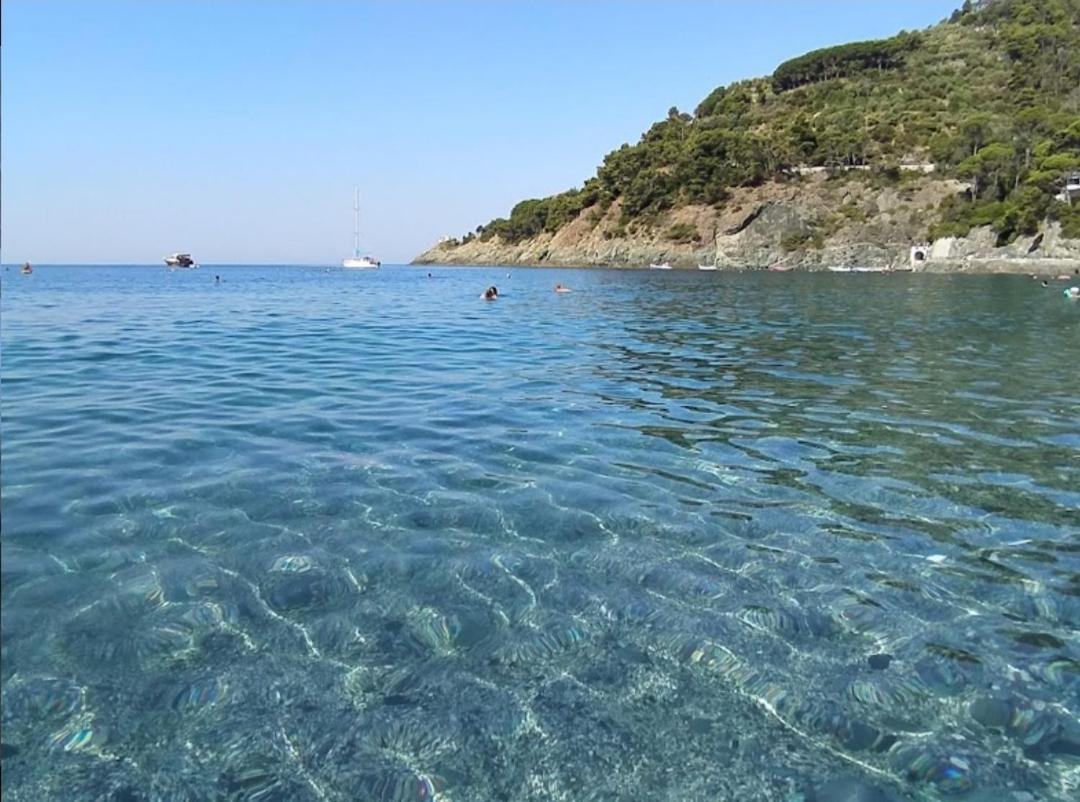 Apartamento Nido al Mare Bonassola Exterior foto