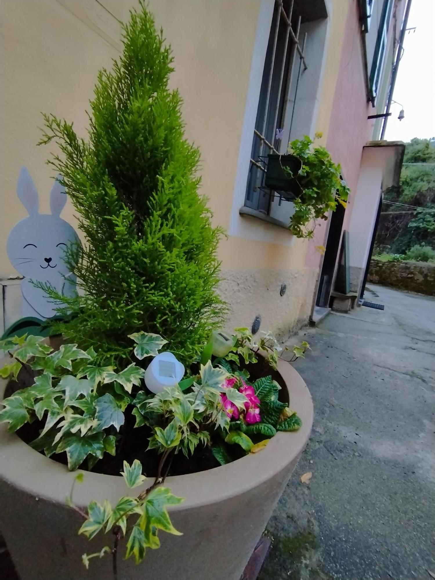 Apartamento Nido al Mare Bonassola Exterior foto