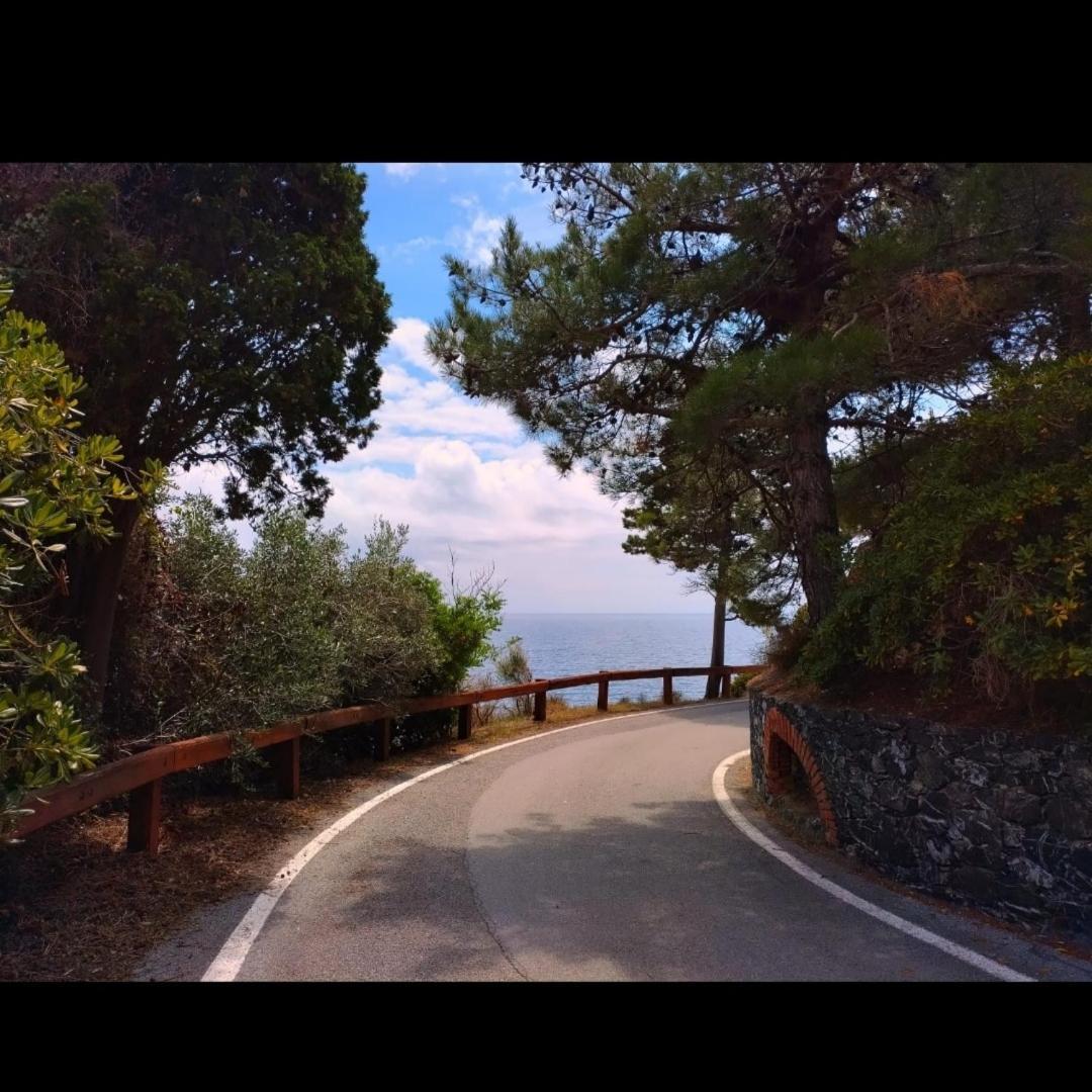 Apartamento Nido al Mare Bonassola Exterior foto
