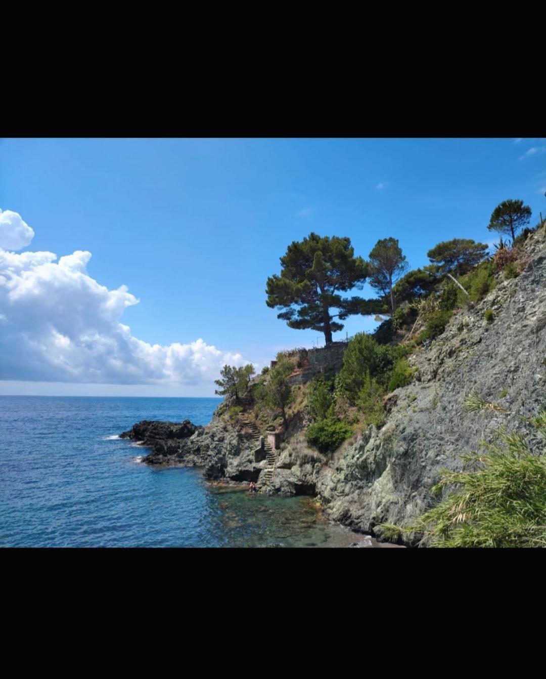 Apartamento Nido al Mare Bonassola Exterior foto